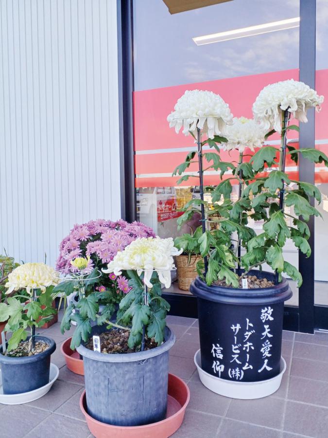 Image: https://www.toda-homeservice.co.jp/images/blog2/__1763362939.jpg